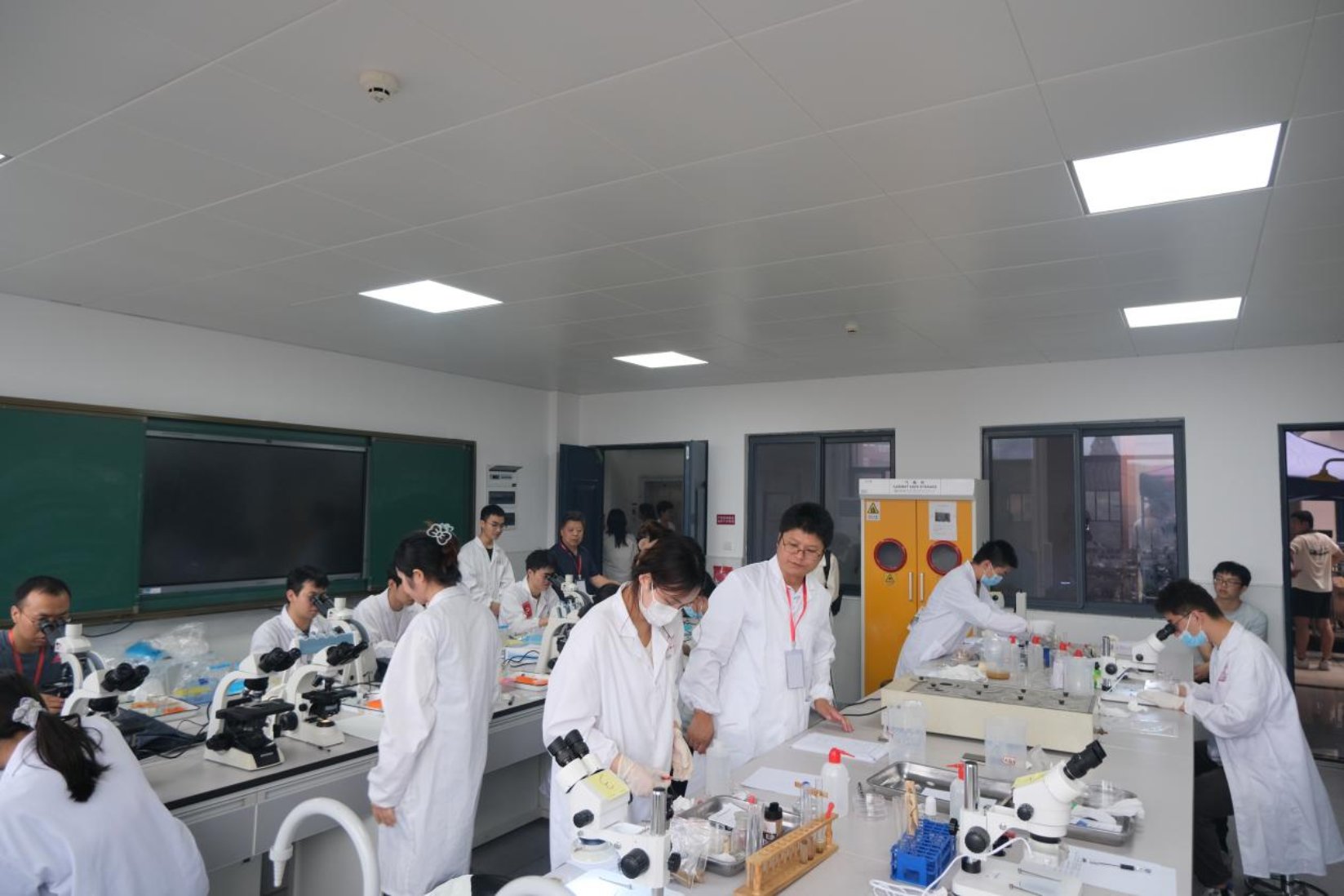 动物科学技术88看球nba直播吧官方