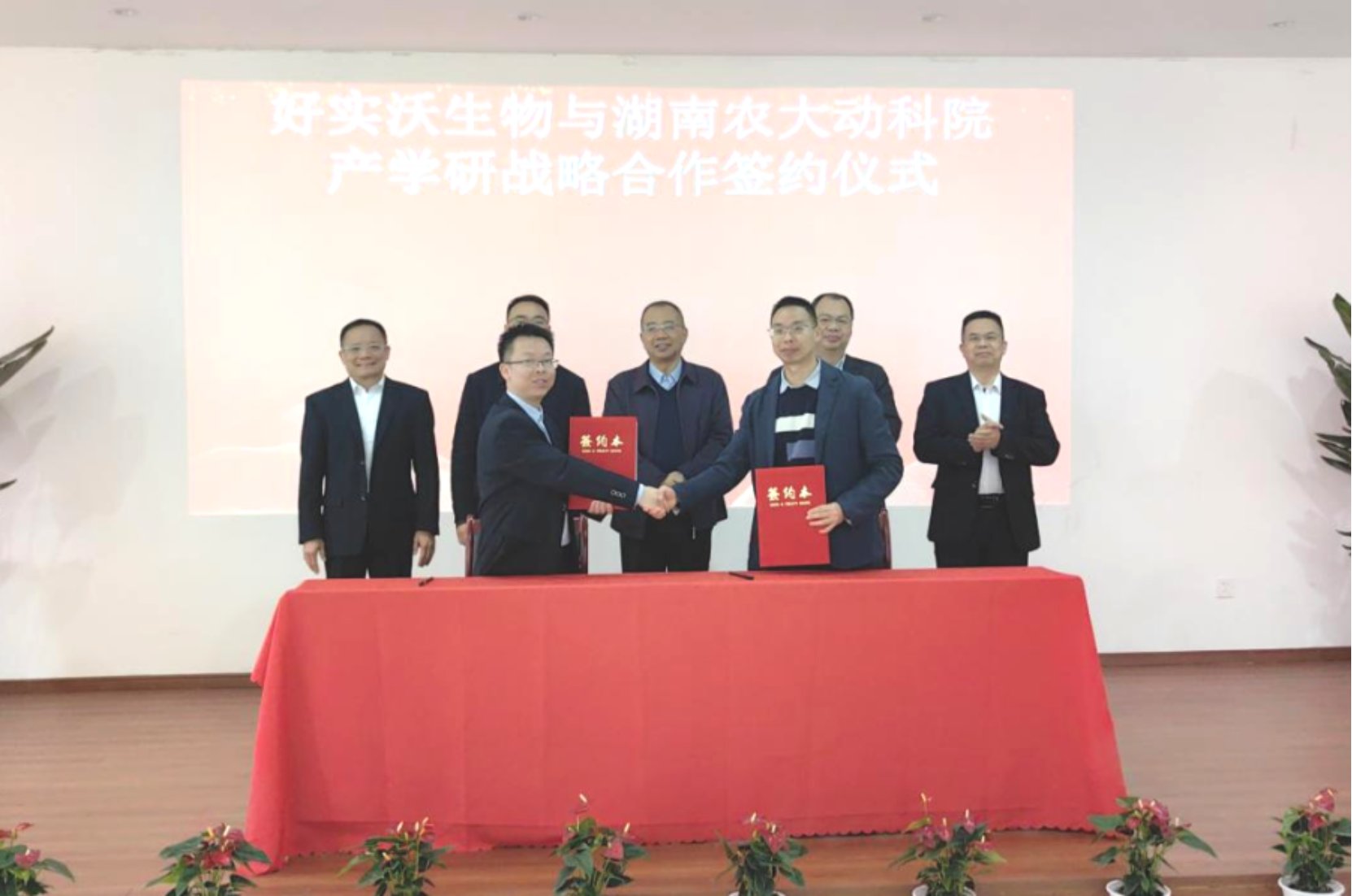 结合好实沃生物的规模化生产优势