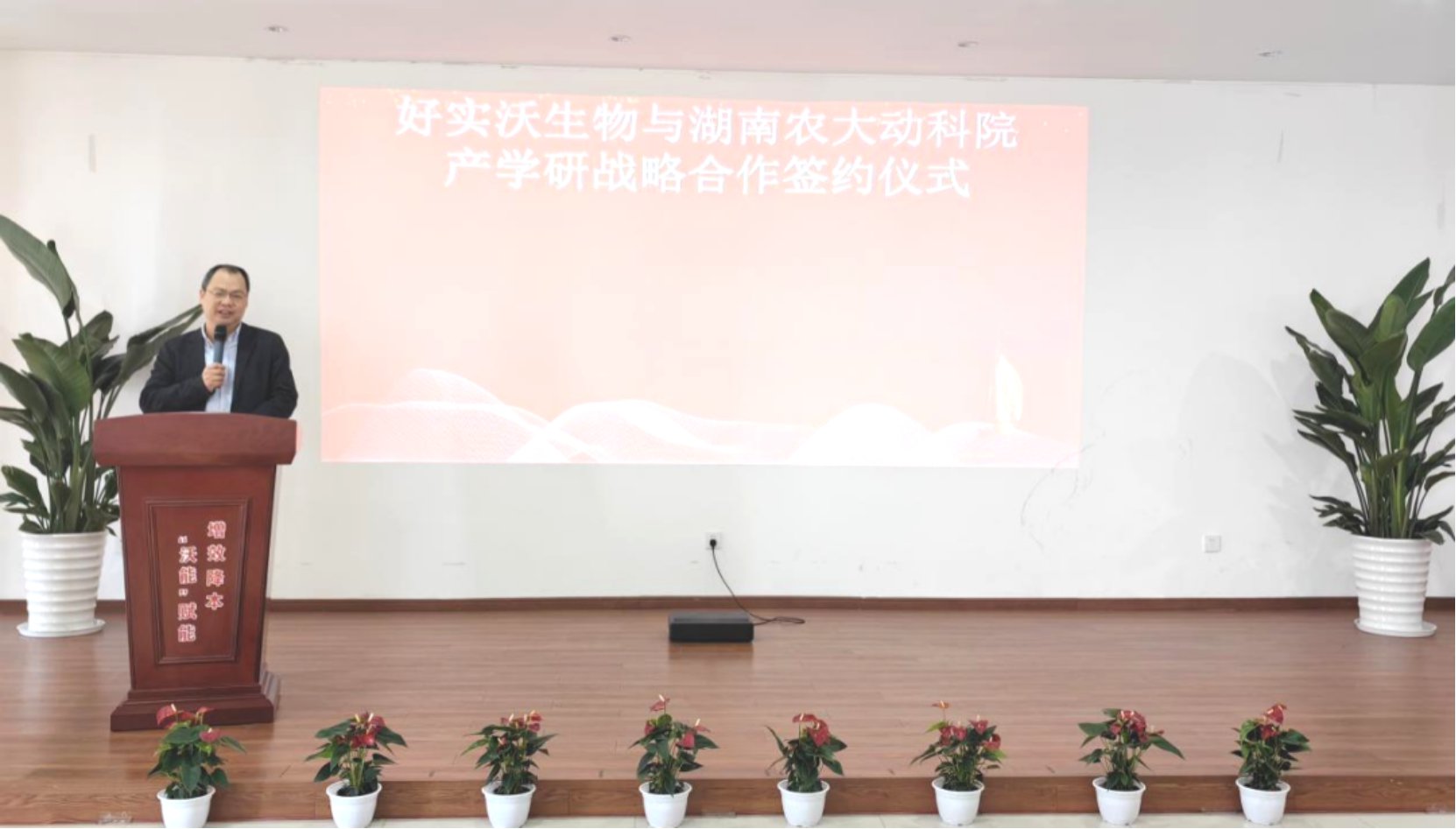 强强联合