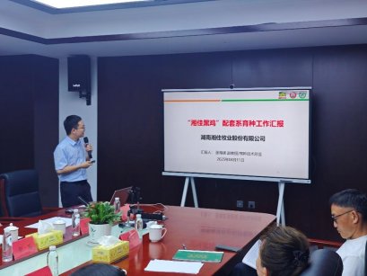 88看球直播官网正规渠道肉鸡产业技术