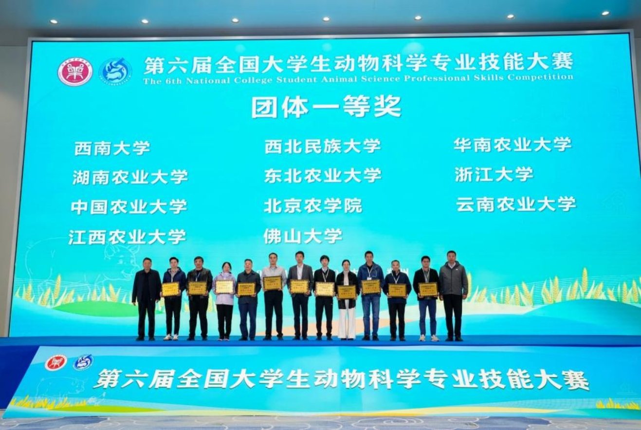 权威性赛事