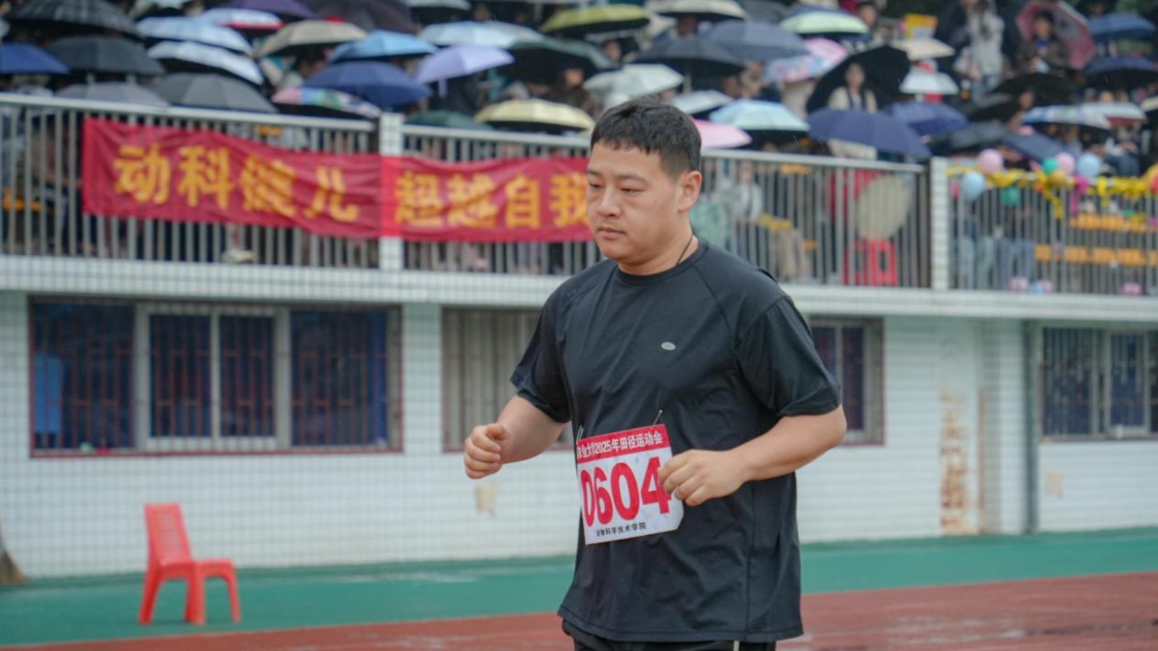 温氏88看球直播新手怎么玩解读畜牧行