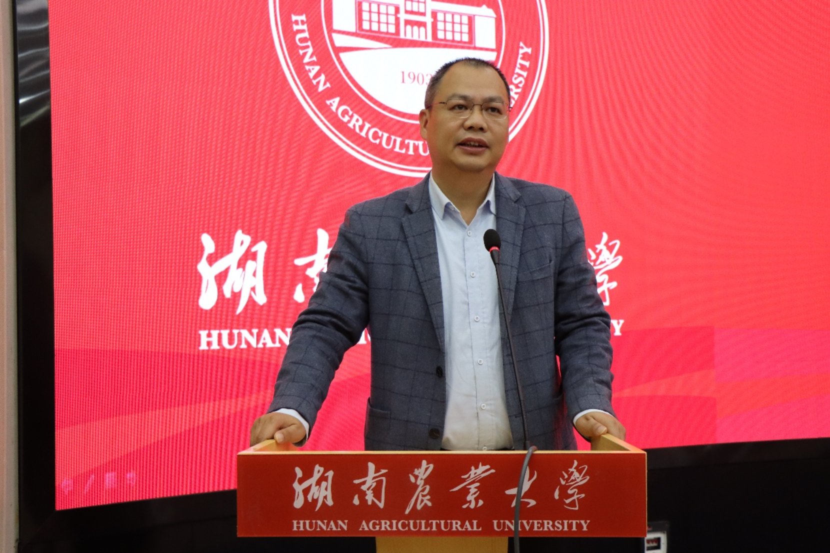 专任教师何玲