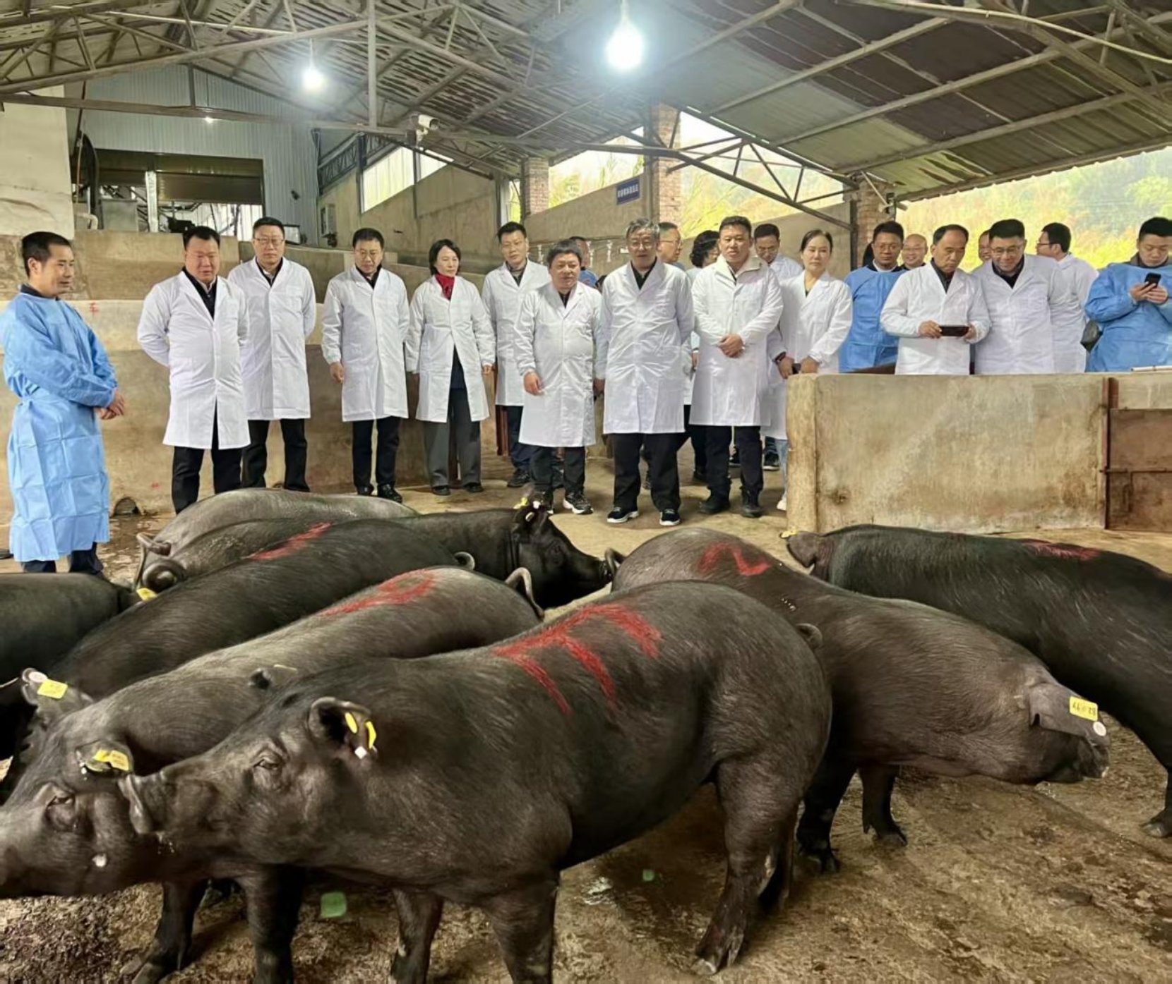 云南农业大学邓卫东教授以及楚雄师范8
