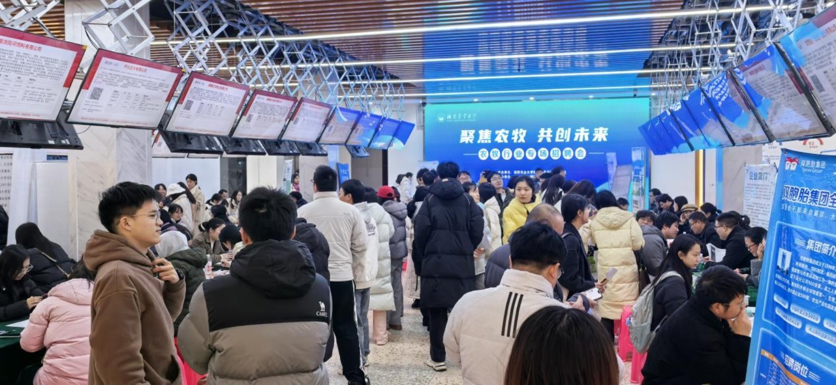由88看球nba直播吧官方网站创新创