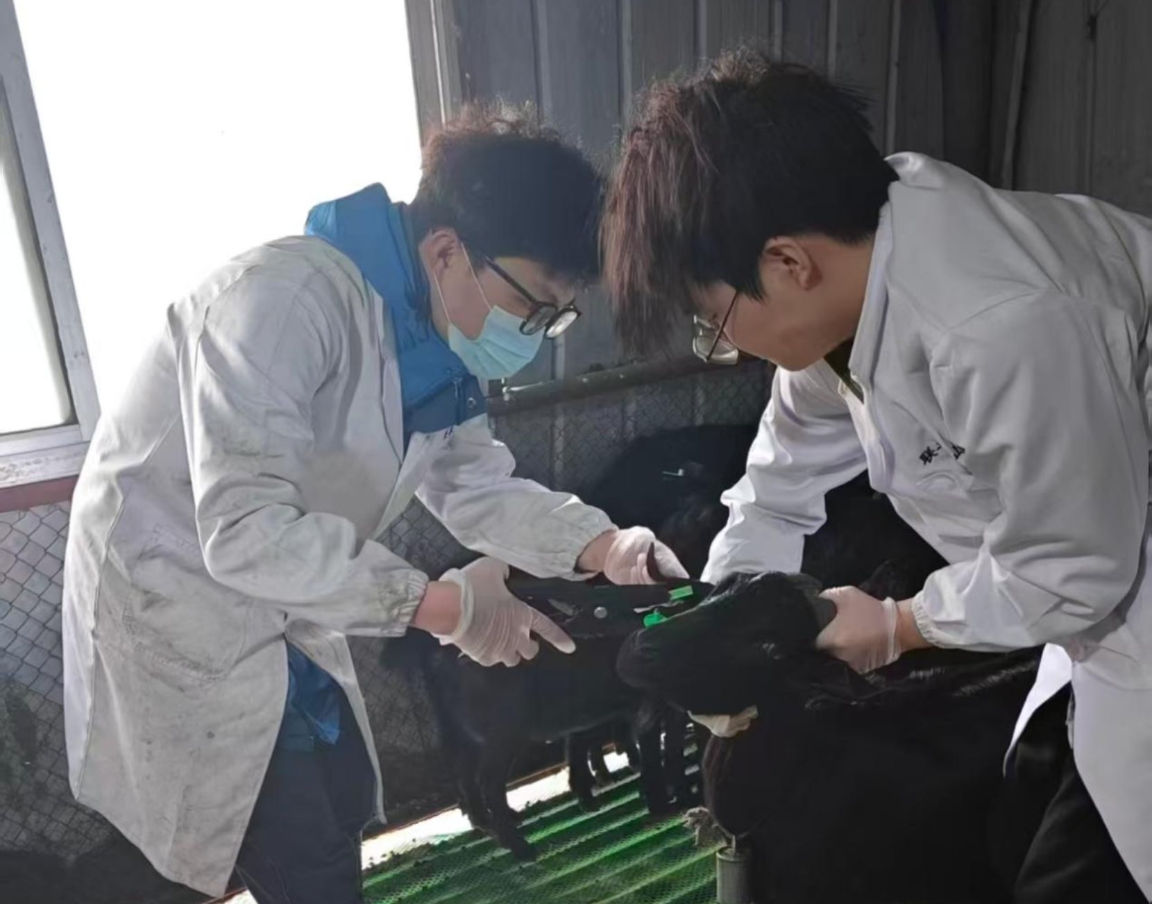 88看球直播功能入口正以岳麓山实验室