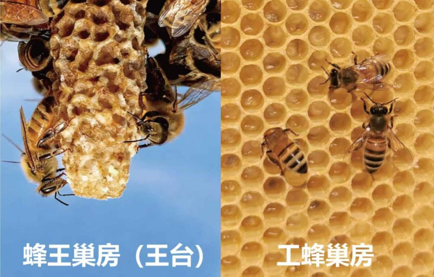该文也是88看球nba直播吧最新优惠