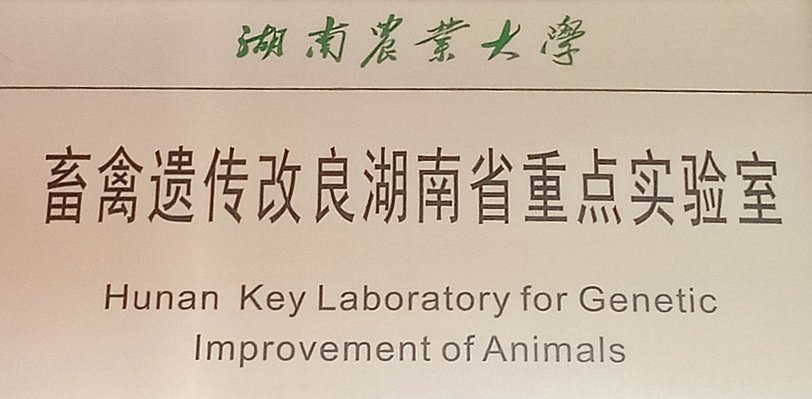需要原文时请核对应栏目发布页