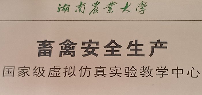 五月
