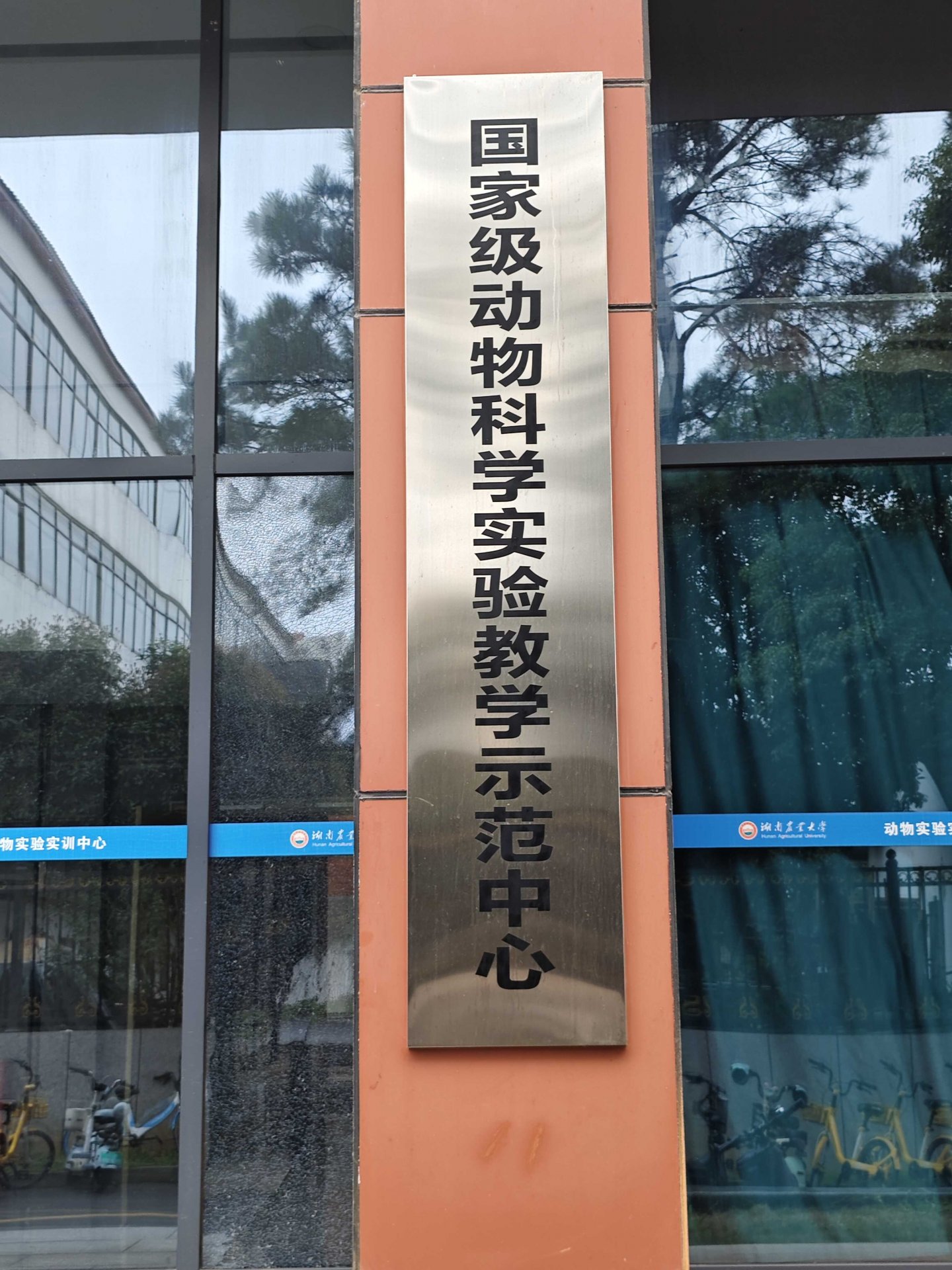 若从搜索引擎进入