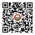 数启新程”为主题
