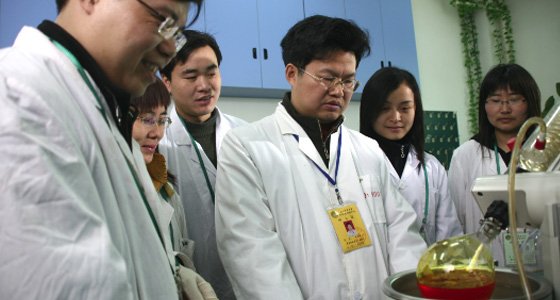 371 faculty member