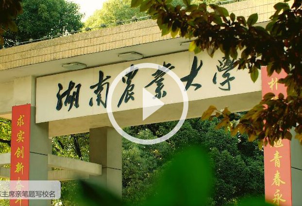可先确认当前栏目名称