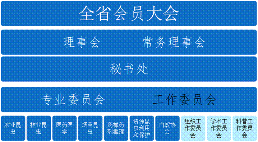 副理事长