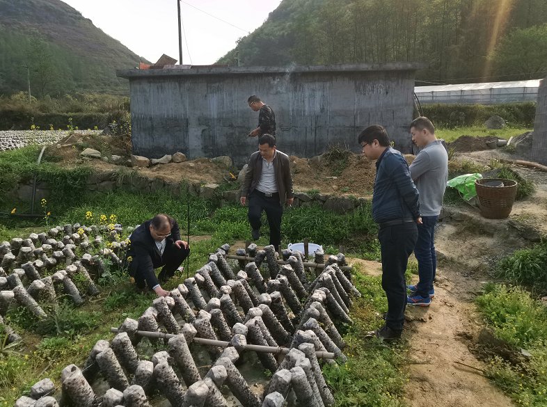 88看球直播成为世俱杯全球官方合作伙
