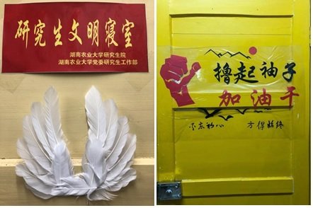 博宿舍之爱