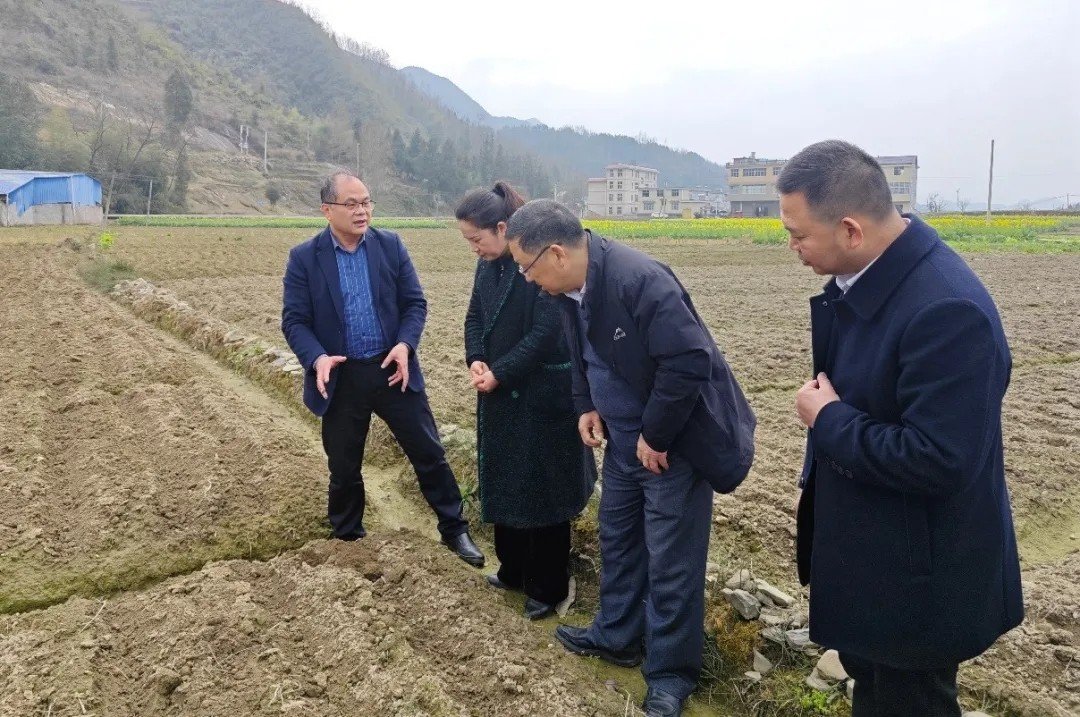 W020240413060796164007.jpg 赶赴湘西州龙山县上母村果乐农业88看
