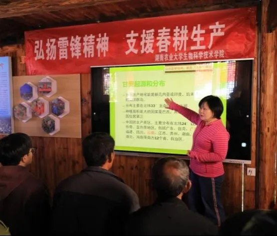 W020240413081840893538.jpg 草长莺飞