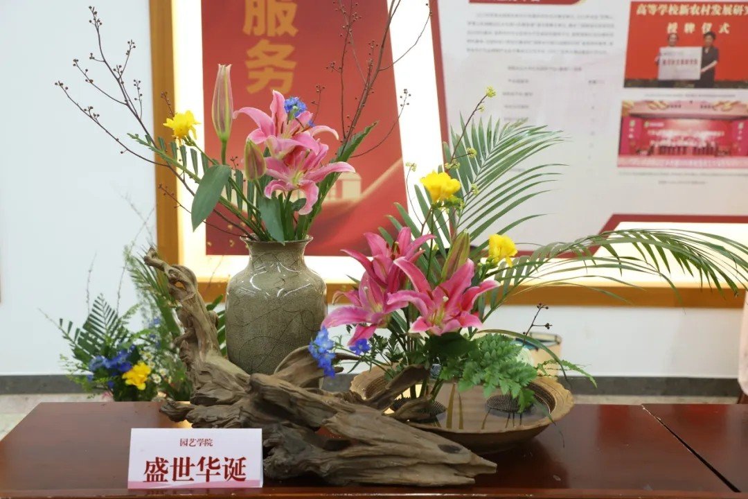 W020240413069843957249.jpg 全力投入这场青春盛宴
