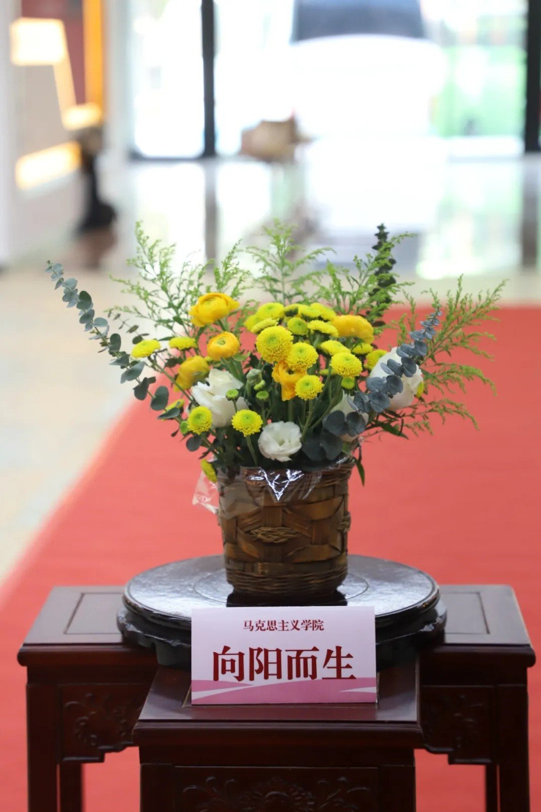 W020240413094670046287.jpg 通过展示向警予