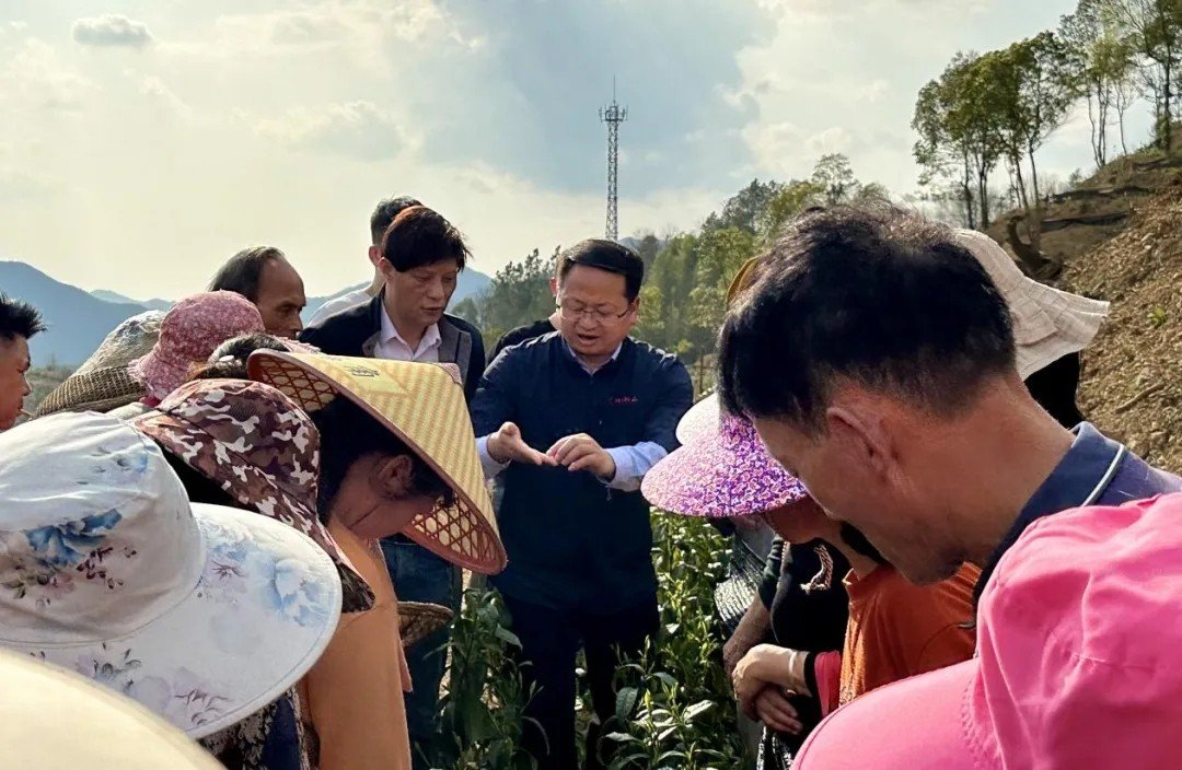 延伸阅读随着气温的回升