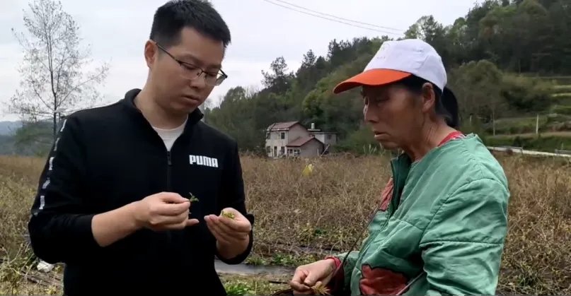 W020240413024898048077.jpg 88看球nba直播吧使用教程园艺植物