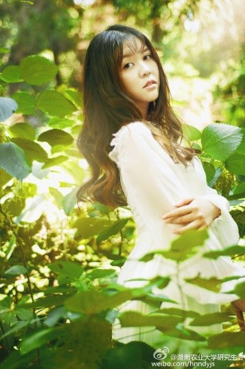 Copyright © 2011-2