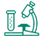 五月