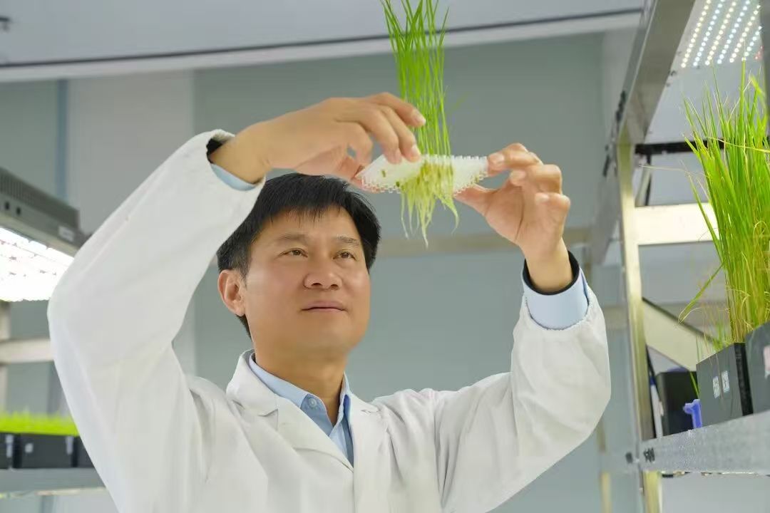 需要原文时请核对应栏目发布页