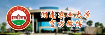 可先确认当前栏目名称