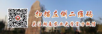 再按需打开相关阅读