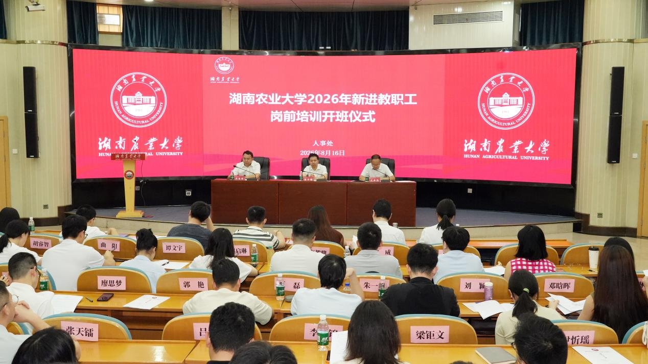 可先确认当前栏目名称