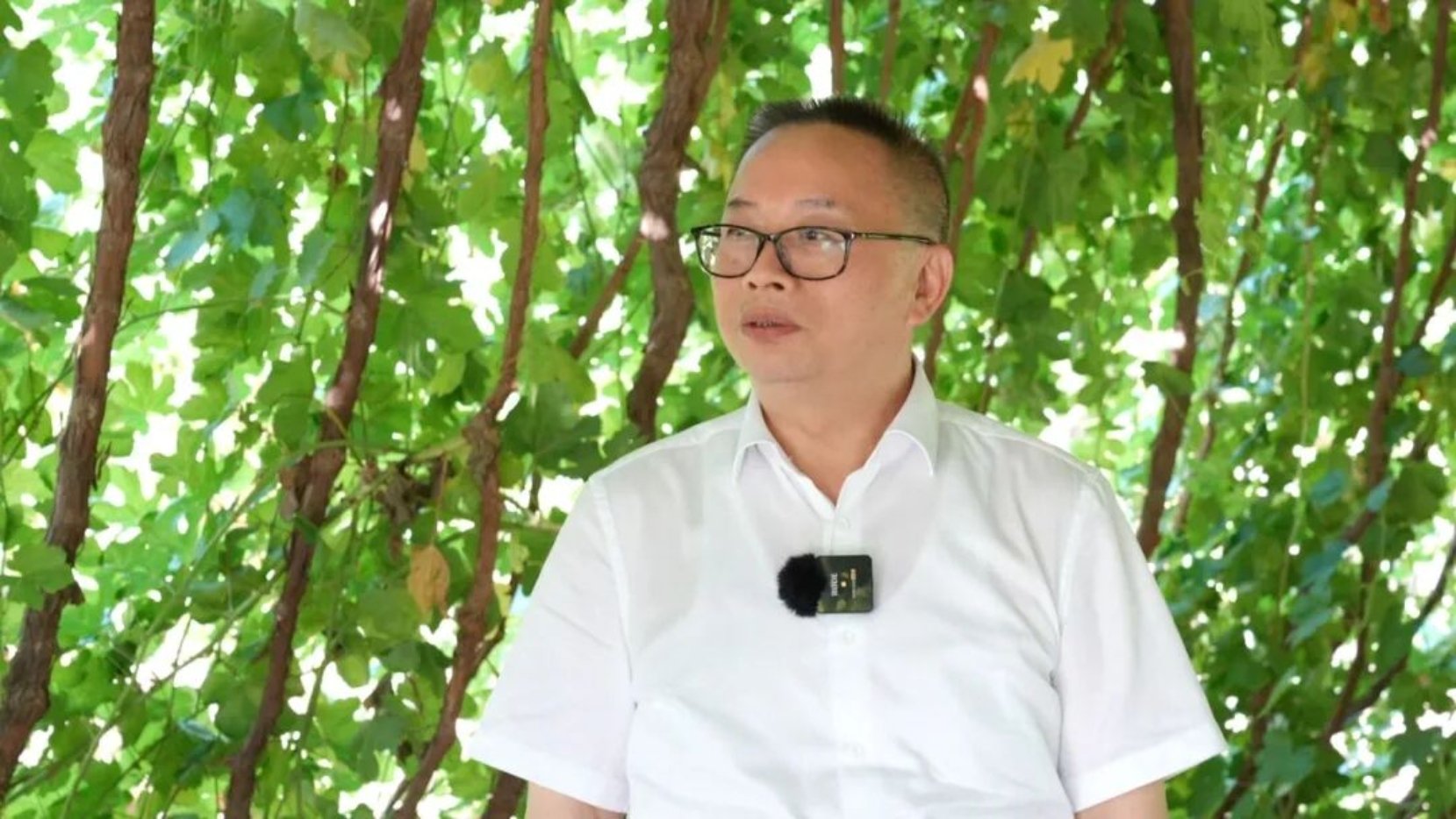 延伸阅读