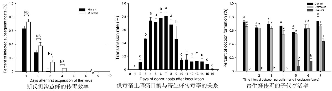 通过对斯氏侧沟茧蜂和囊泡病毒HvAV