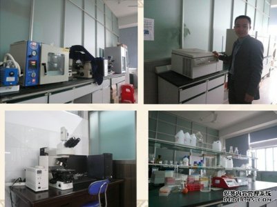 延伸阅读组建期完成时
