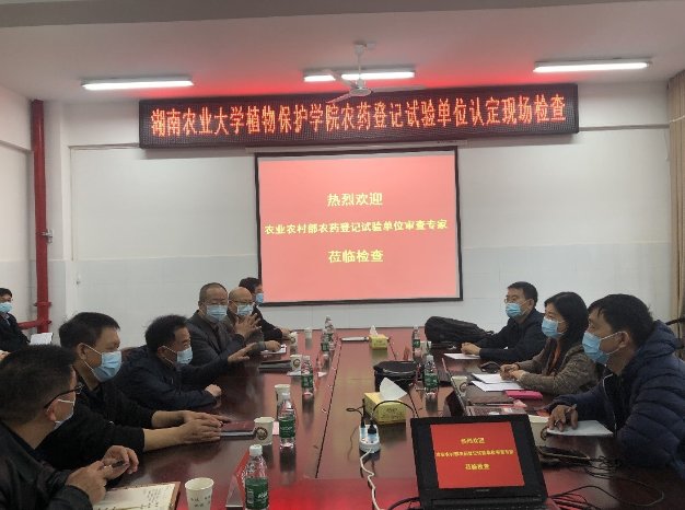 查阅档案