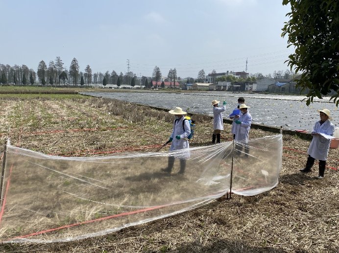 记录和报告等共273专家组在反馈意见