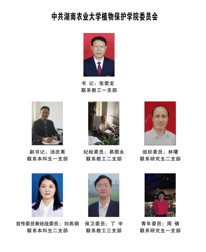 若从搜索引擎进入