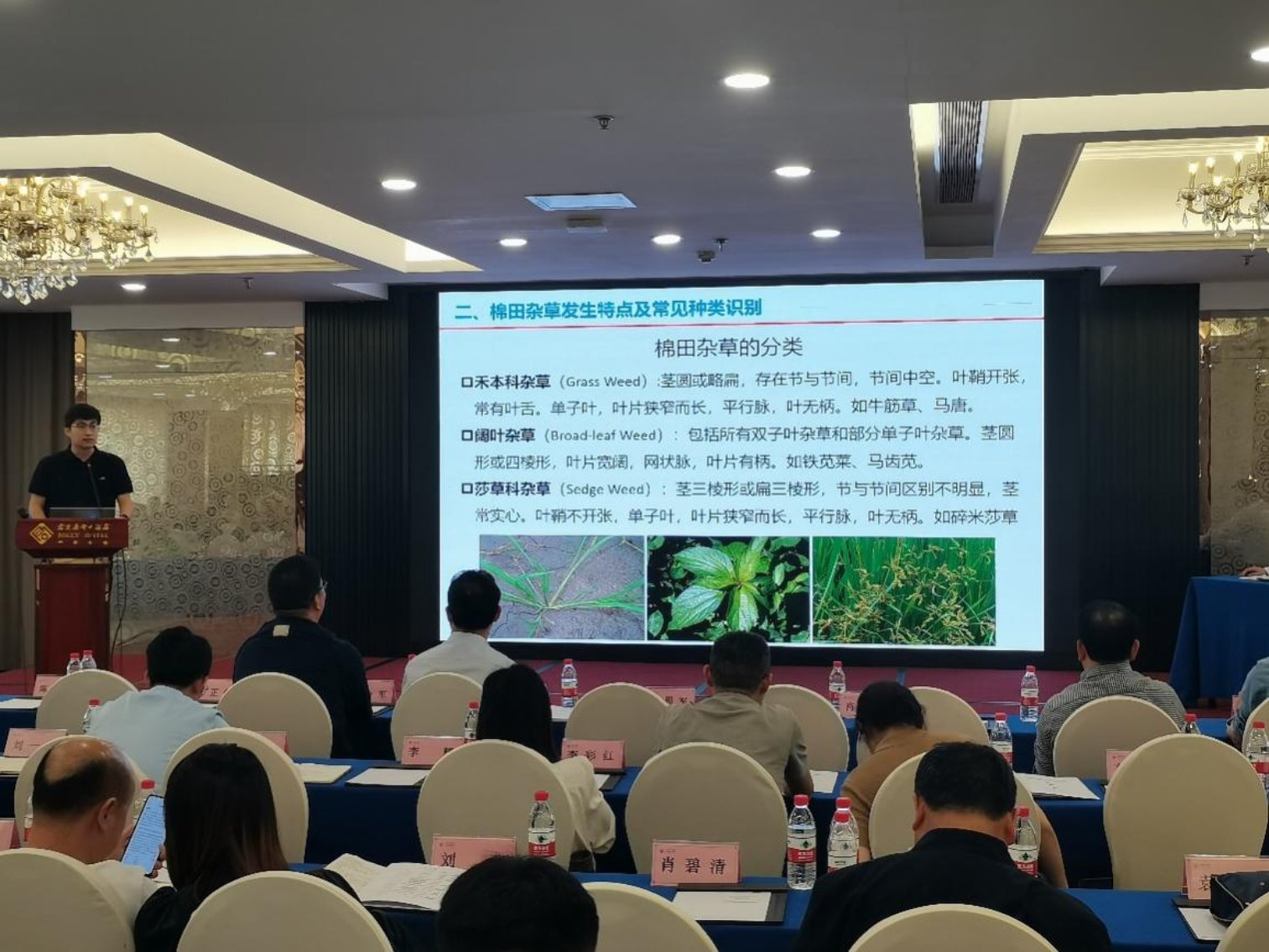 植保岗位专家潘浪