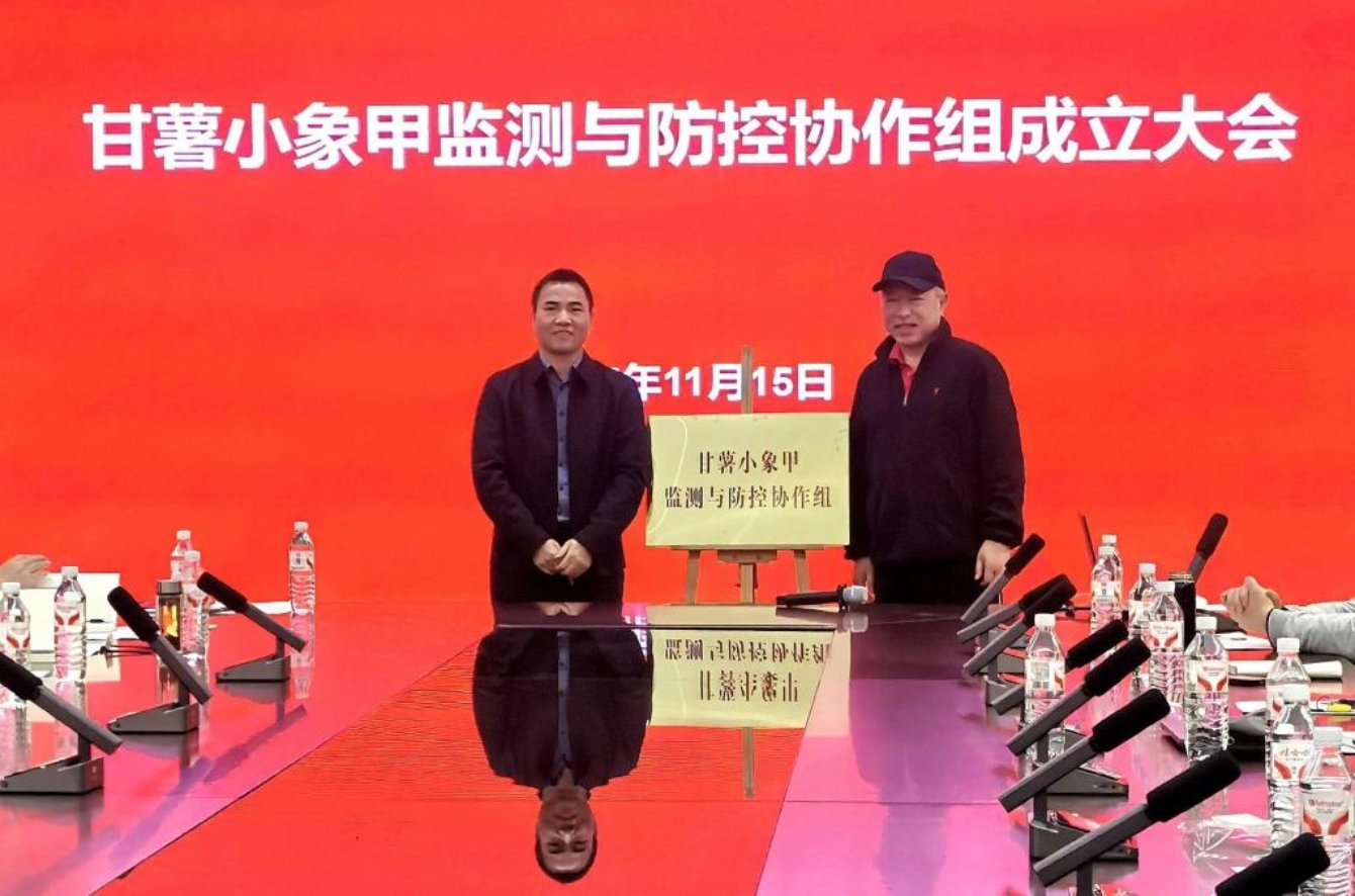 集中总结交流薯类病虫害绿色防控领域的