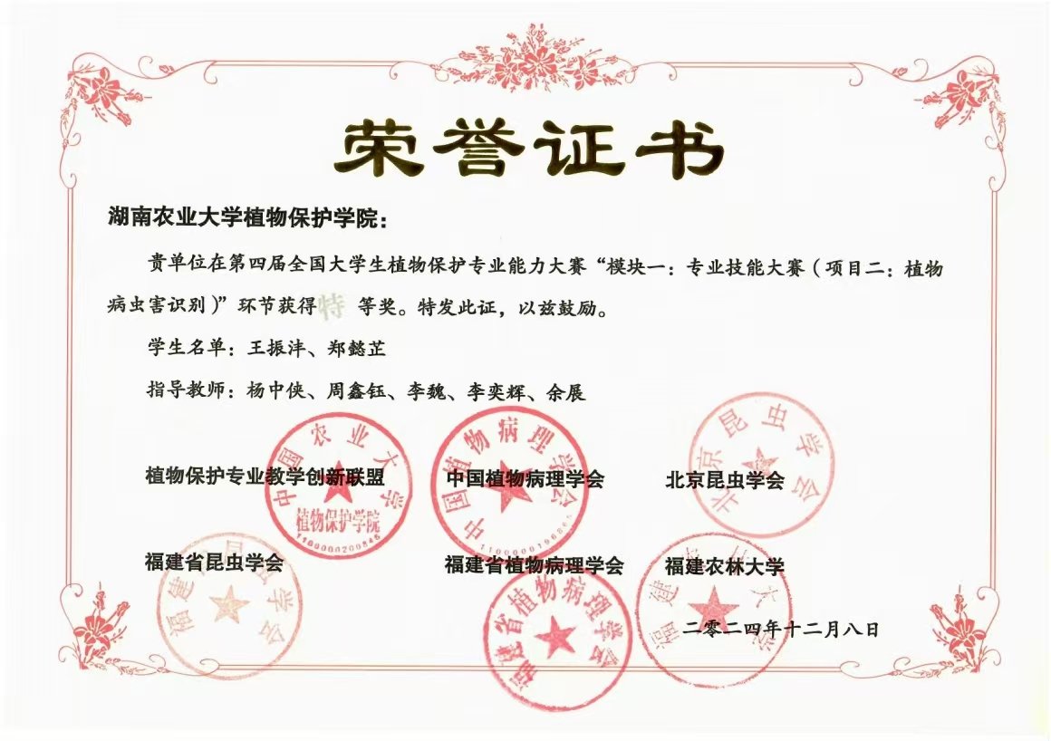 荣誉证书4.jpg 任职经历