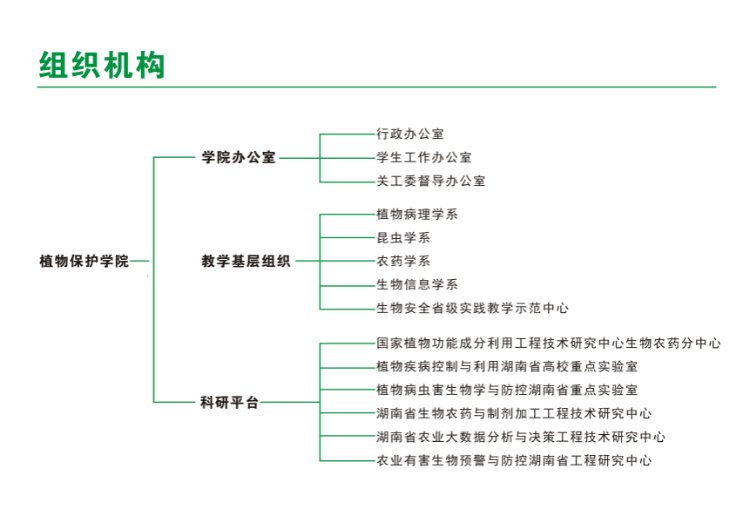88看球nba直播吧