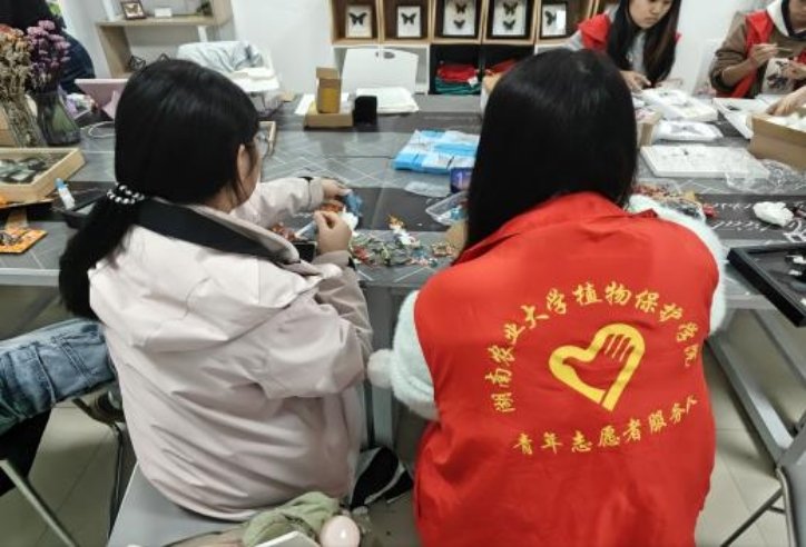 引领成长