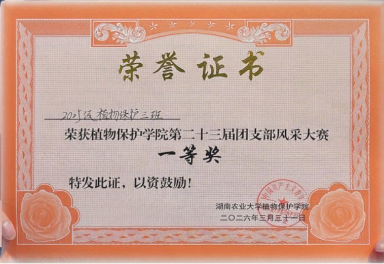 88看球nba直播吧