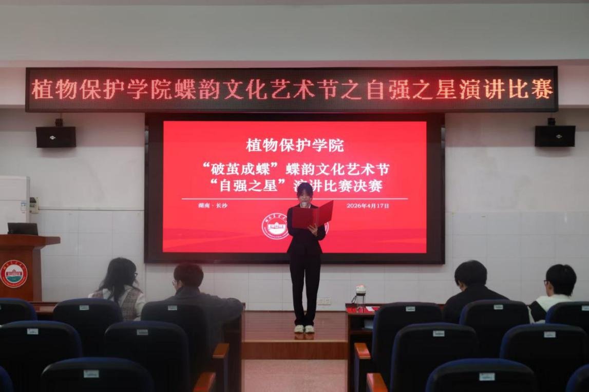 以情为墨