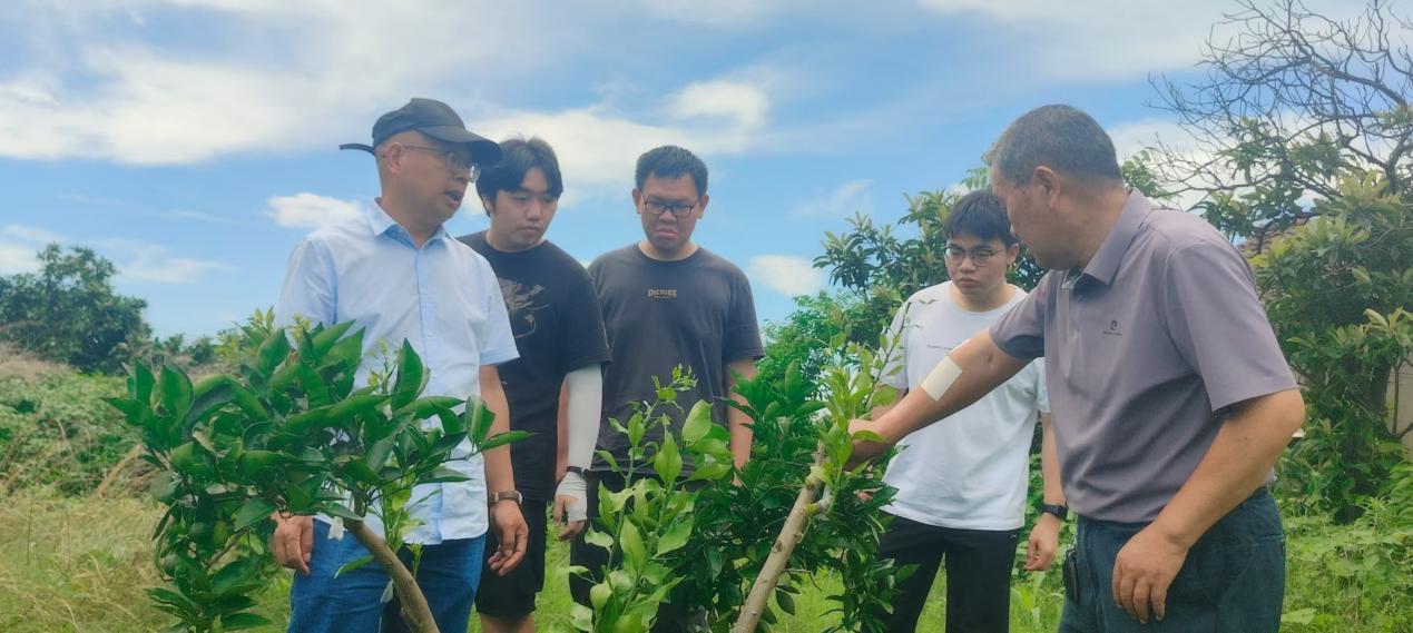 湖南澧县柚子科技小院首席专家易图永带