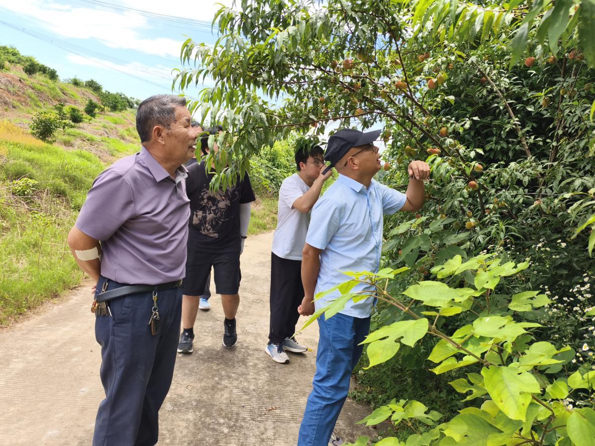 硕士研究生前往湖南澧县柚子科技小院开