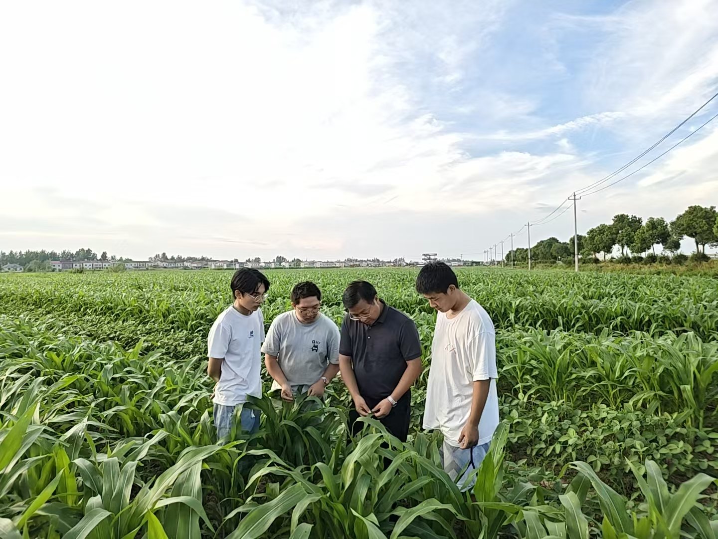 微信图片_20260724201157_462_751.jpg 7月17日至18日