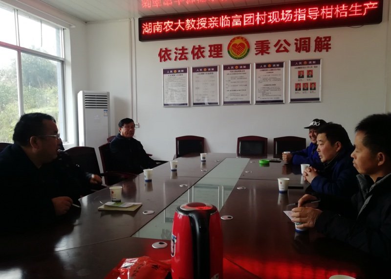 湖南省植物病理学会赴洪江市考察柑橘病
