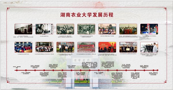 还有什么理由不努力”